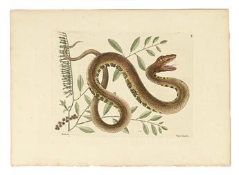 CATESBY, MARK. Seven hand-colored engraved plates,